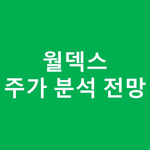 월덱스 주가 분석 및 전망