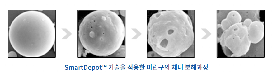 스마트대포 기술소개 : 미립구 체내 분해 과정