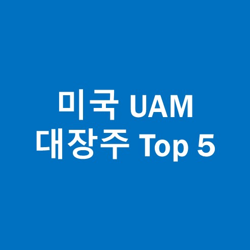 미국 UAM