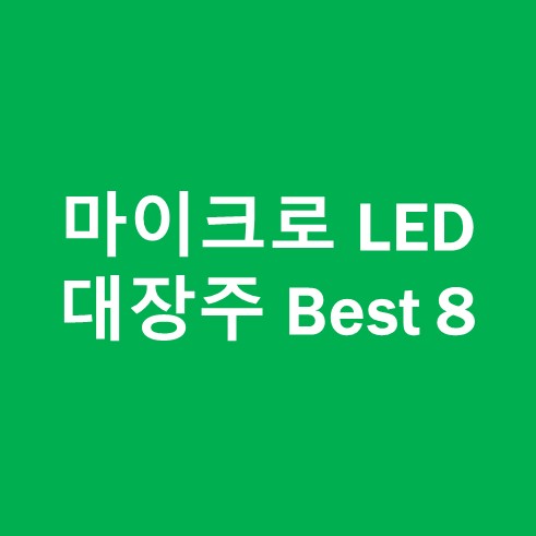 마이크로 LED 대장주