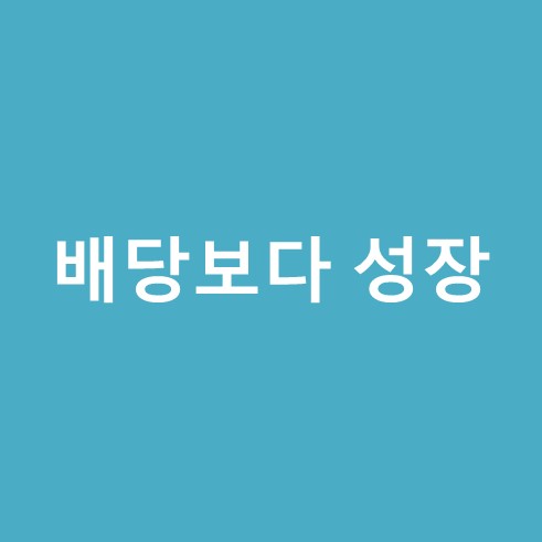 배당보다 성장