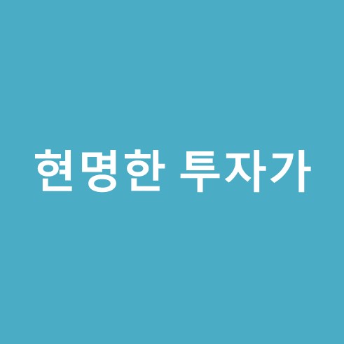 현명한 투자가